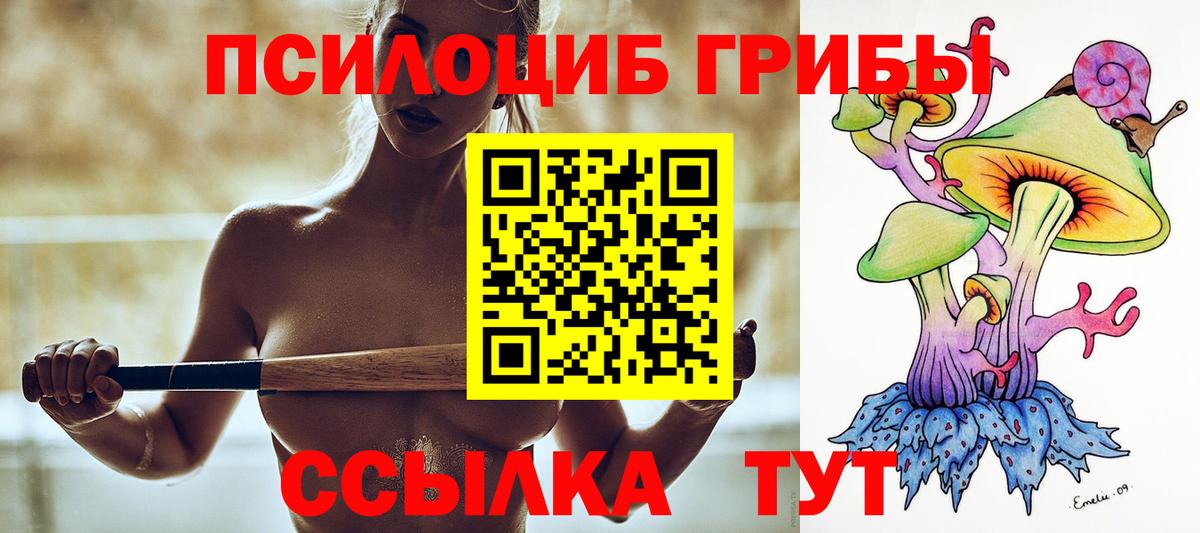 Псилоцибиновые грибы ЛСД Дальнереченск