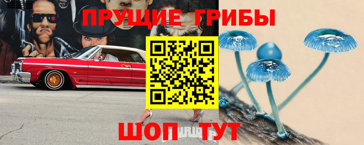 Галлюциногенные грибы ЛСД  дарнет шоп  Дальнереченск  Вход с VPN 